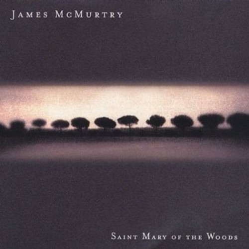 Mcmurtry James - Saint Mary Of The Woods ryhmässä CD / Rock @ Bengans Skivbutik AB (506751)