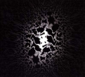 Trad Gras Och Stenar - Homeless Cats ryhmässä Minishops / Träd Gräs Och Stenar @ Bengans Skivbutik AB (506909)