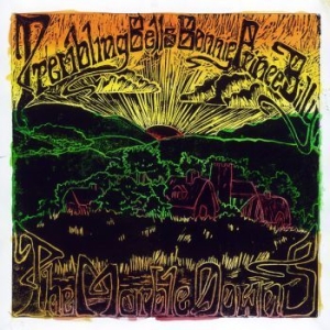 Trembling Bells & Bonnie Prince Bil - Marble Downs ryhmässä CD @ Bengans Skivbutik AB (511388)