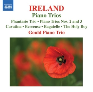 Ireland - Piano Trios ryhmässä CD @ Bengans Skivbutik AB (512596)
