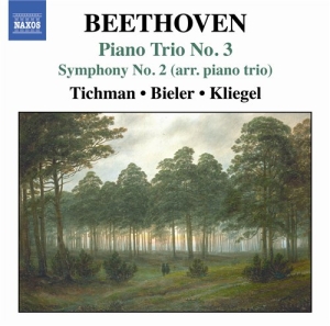 Beethoven - Piano Trio No 3 ryhmässä CD @ Bengans Skivbutik AB (515448)