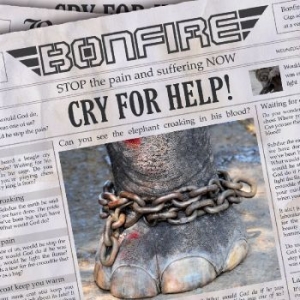 Bonfire - Cry For Help ryhmässä CD @ Bengans Skivbutik AB (518383)