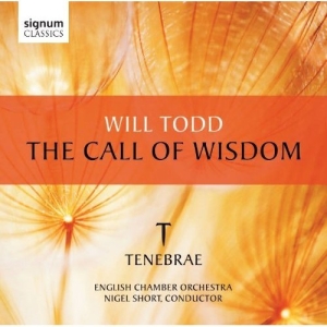 Todd - The Call Of Wisdom ryhmässä CD @ Bengans Skivbutik AB (519792)