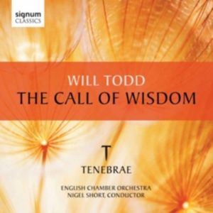 Todd - The Call Of Wisdom ryhmässä CD @ Bengans Skivbutik AB (519792)