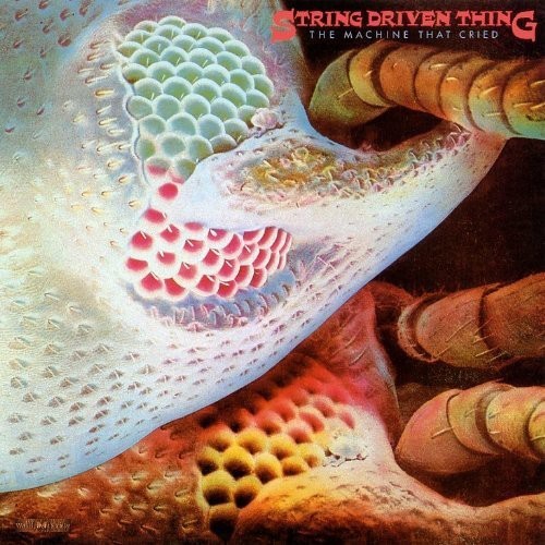 String Driven Thing - Machine That Cried ryhmässä CD / Myydyimmät @ Bengans Skivbutik AB (526266)