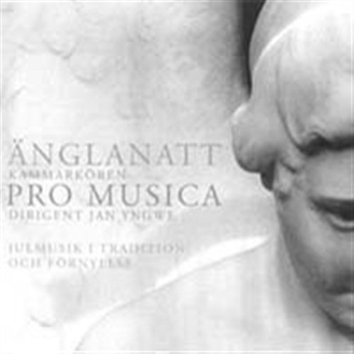Various - Änglanatt (Angel Night) ryhmässä CD @ Bengans Skivbutik AB (529362)