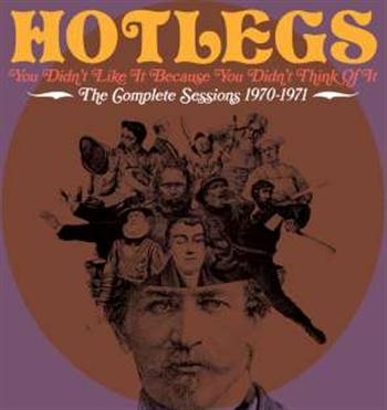 Hotlegs - You Didn't Like It Because You Didn ryhmässä CD / Pop @ Bengans Skivbutik AB (531254)