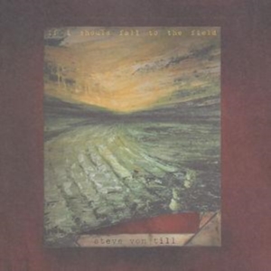 Von Till Steve - If I Should Fall To The Field ryhmässä CD @ Bengans Skivbutik AB (533631)