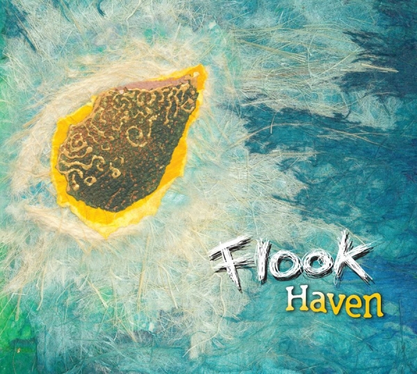 Flook - Haven ryhmässä CD / Rock @ Bengans Skivbutik AB (535535)