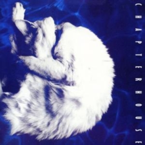 Chapterhouse - Whirlpool ryhmässä CD @ Bengans Skivbutik AB (535646)