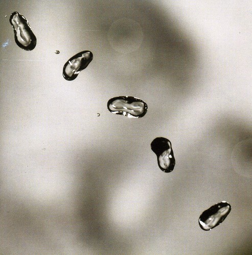 Peter Gabriel - Up ryhmässä CD / Pop @ Bengans Skivbutik AB (536173)