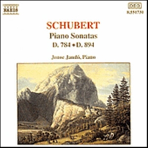 Schubert Franz - Piano Sonatas D 784 & 894 ryhmässä CD @ Bengans Skivbutik AB (540798)