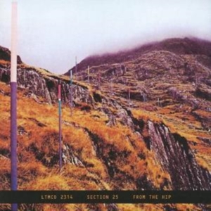 SECTION 25 - FROM THE HIP ryhmässä CD @ Bengans Skivbutik AB (543381)