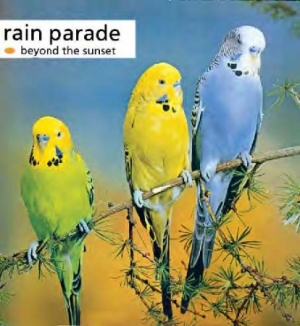 Rain Parade - Beyond The Sunset ryhmässä CD @ Bengans Skivbutik AB (543484)