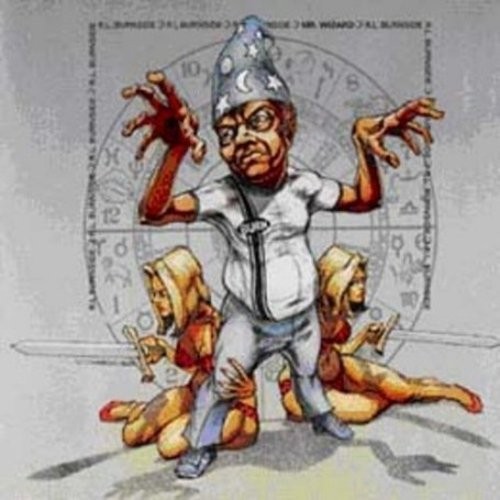 R.L. Burnside - Mr Wizard ryhmässä CD / Rock @ Bengans Skivbutik AB (544191)