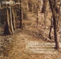 Schnittke/Pärt - Voices Of Nature ryhmässä CD @ Bengans Skivbutik AB (547257)