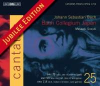 Bach Johann Sebastian - Cantatas Vol 25 ryhmässä CD @ Bengans Skivbutik AB (548302)