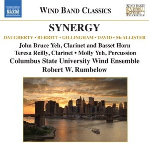Various Composers - Synergy ryhmässä CD @ Bengans Skivbutik AB (549040)