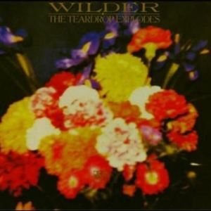 Teardrop Explodes - Wilder ryhmässä CD @ Bengans Skivbutik AB (549820)