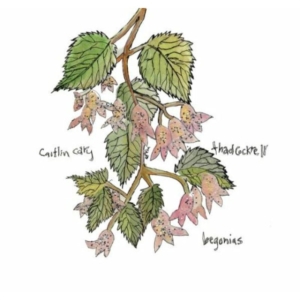 Cary Caitlin And Thad Cockrell - Begonias ryhmässä ME SUOSITTELEMME / Klassiska lablar / YepRoc / CD @ Bengans Skivbutik AB (550011)