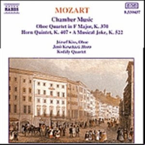 Mozart Wolfgang Amadeus - Chamber Music ryhmässä CD @ Bengans Skivbutik AB (5503215)