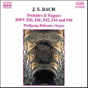 Bach Johann Sebastian - Preludes & Fugues ryhmässä CD @ Bengans Skivbutik AB (5503219)