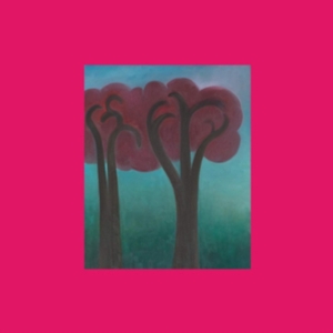 Ethier André - Croak In The Weeds ryhmässä VINYYLI @ Bengans Skivbutik AB (5506598)