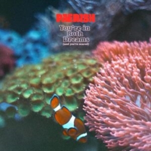Paerish - You're In Both Dreams (And You're S ryhmässä CD @ Bengans Skivbutik AB (5507318)