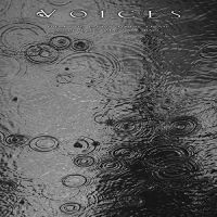 Voices - From The Human Forest Create A Fugu ryhmässä CD @ Bengans Skivbutik AB (5507381)