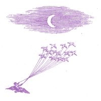 Feeling Figures - Migration Magic ryhmässä VINYYLI @ Bengans Skivbutik AB (5507863)