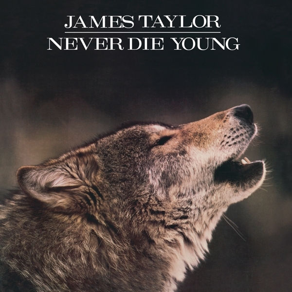 James Taylor - Never Die Young ryhmässä VINYYLI / Pop-Rock @ Bengans Skivbutik AB (5508145)