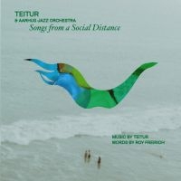 Teitur & Aarhus Jazz Orchestra - Songs From A Social Distance ryhmässä VINYYLI / Myydyimmät @ Bengans Skivbutik AB (5509291)
