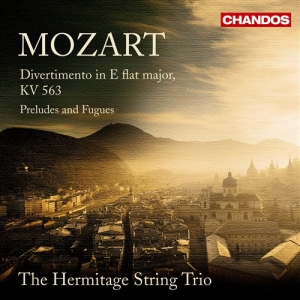 Mozart - Divertimento ryhmässä CD @ Bengans Skivbutik AB (5509847)