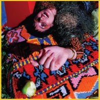 Nyssa - Shake Me Where I'm Foolish ryhmässä VINYYLI @ Bengans Skivbutik AB (5509942)