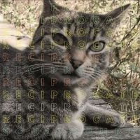 Reciprocate - Soul To Burn ryhmässä VINYYLI @ Bengans Skivbutik AB (5510270)