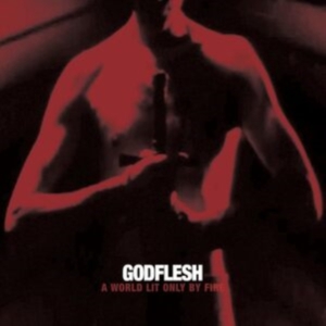 Godflesh - A World Only Lit By Fire (White Vin ryhmässä VINYYLI @ Bengans Skivbutik AB (5510568)