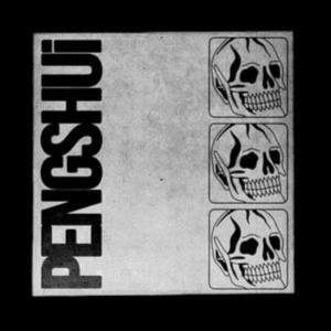 Pengshui - Pengshui ryhmässä CD @ Bengans Skivbutik AB (5511227)