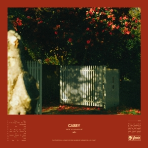 Casey - How To Disappear (Transparent Yello ryhmässä VINYYLI @ Bengans Skivbutik AB (5511302)