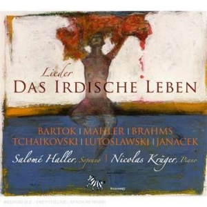 Salome Haller - Earthly Life - Lieder ryhmässä CD @ Bengans Skivbutik AB (5511473)
