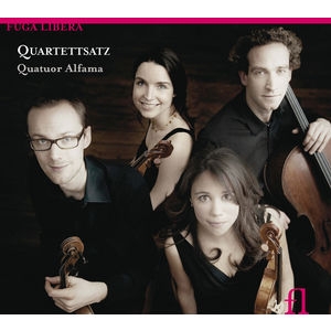 Various - Quartettsatz ryhmässä CD @ Bengans Skivbutik AB (5511510)