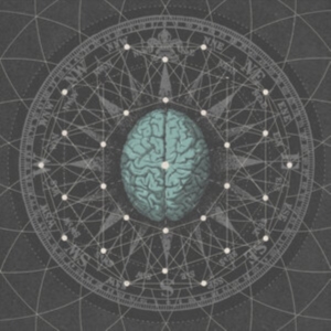 Bipolar Architecture - Metaphysicize ryhmässä VINYYLI @ Bengans Skivbutik AB (5511640)