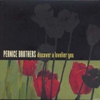 Pernice Brothers - Discover A Lovelier You ryhmässä CD @ Bengans Skivbutik AB (5513332)