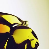 Hooray For Earth - True Loves ryhmässä CD @ Bengans Skivbutik AB (5513704)