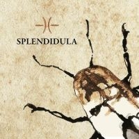 Splendidula - Splendidula ryhmässä CD @ Bengans Skivbutik AB (5513786)