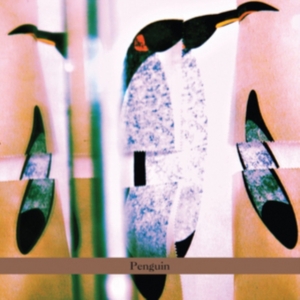 Cohen-Milo Haggai - Penguin ryhmässä CD @ Bengans Skivbutik AB (5513896)
