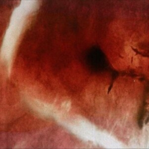 Angles & Elle-Kari With Strings - The Death Of Kalypso ryhmässä VINYYLI @ Bengans Skivbutik AB (5514471)