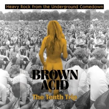 Various Artists - Brown Acid - The Tenth Trip ryhmässä VINYYLI / Myydyimmät @ Bengans Skivbutik AB (5514698)