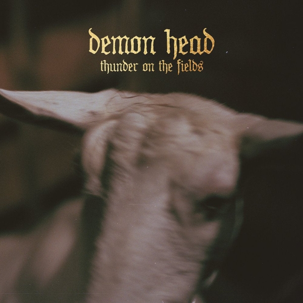Demon Head - Thunder On The Fields Lp Gold ryhmässä VINYYLI / Pop-Rock @ Bengans Skivbutik AB (5515229)