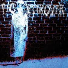 Pig Destroyer - Book Burner ryhmässä VINYYLI @ Bengans Skivbutik AB (5516479)