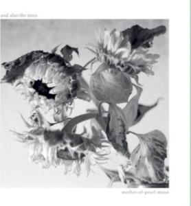 And Also The Trees - Mother-Of-Pearl Moon ryhmässä CD @ Bengans Skivbutik AB (5516778)